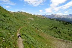 Colorado Trail at Cottonwood Pass